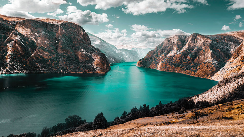 Mar bustos 1352933 unsplash