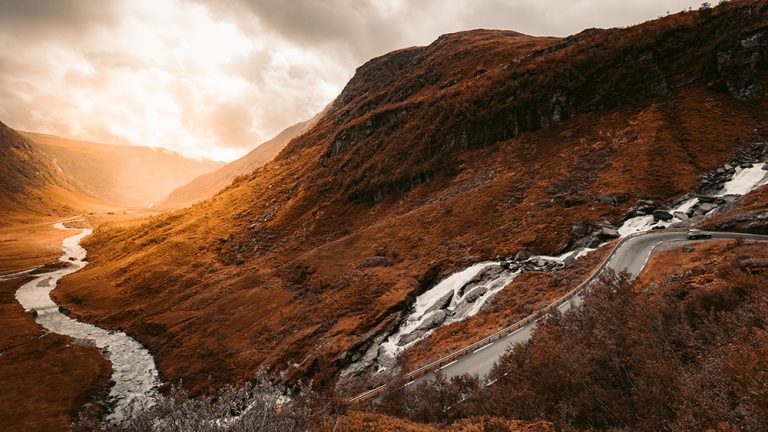 Redcharlie 1372584 unsplash
