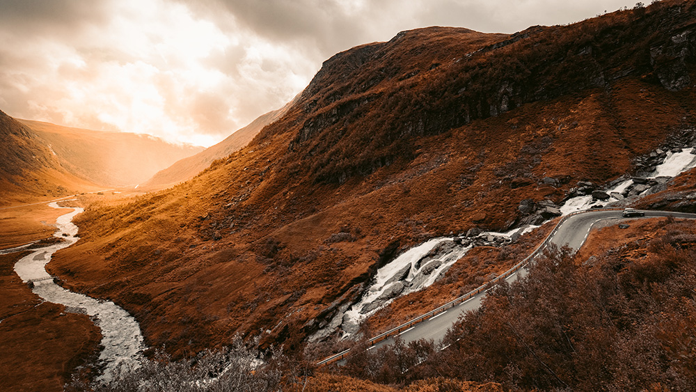 Redcharlie 1372584 unsplash